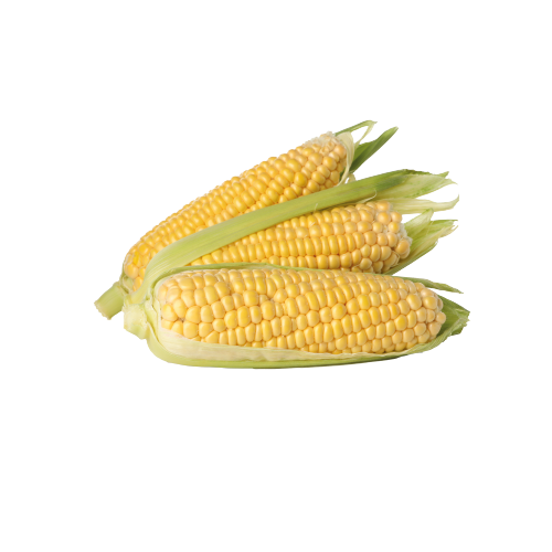 1650522578.png