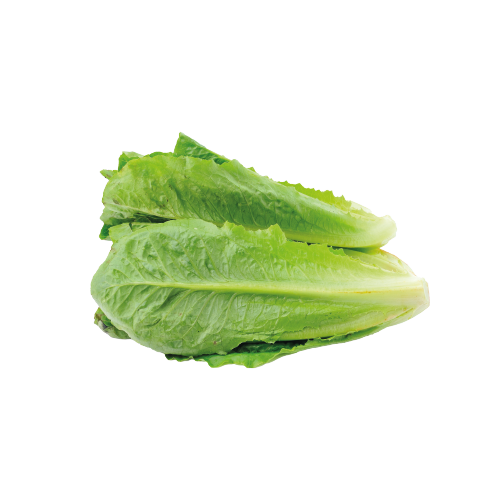 1650522888.png