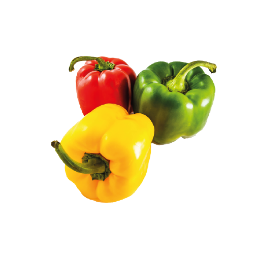 1650522912.png