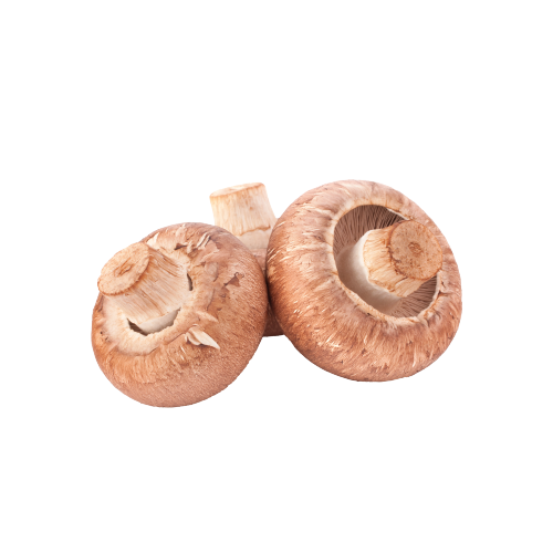 1650522926.png