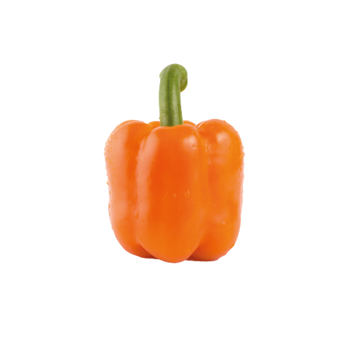 1650522949.png