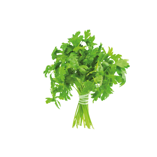 1650522960.png
