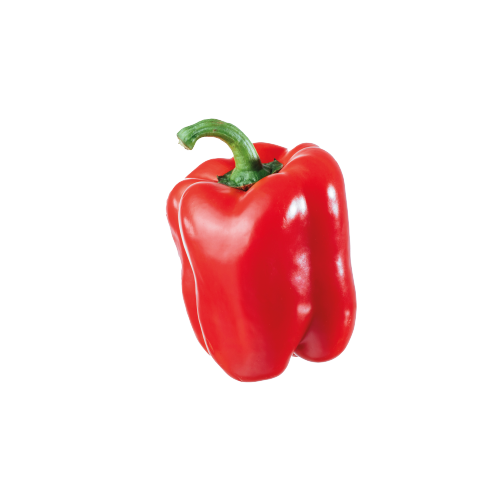 1650523015.png
