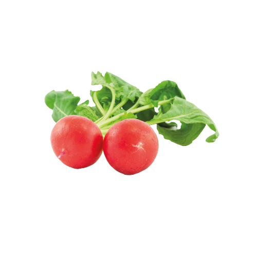 1650523025.png