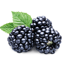 1658922463.png