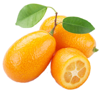 1660082665.png