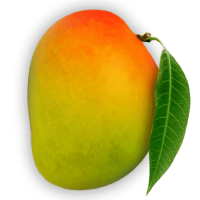 1660116426.png