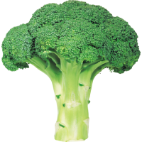 1660116916.png