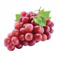 1661259988.png