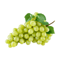 1661260025.png